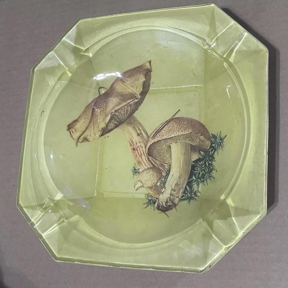 Other - Vintage MCM 1980's Pheasant Glass Mushroom Painted Retro Ashtray.